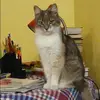 Отзыв от Эмилия Леонтьева